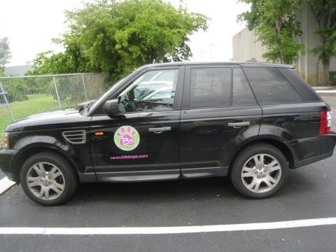 Large Format Die Cut Vinyl Stickers For Vehicles